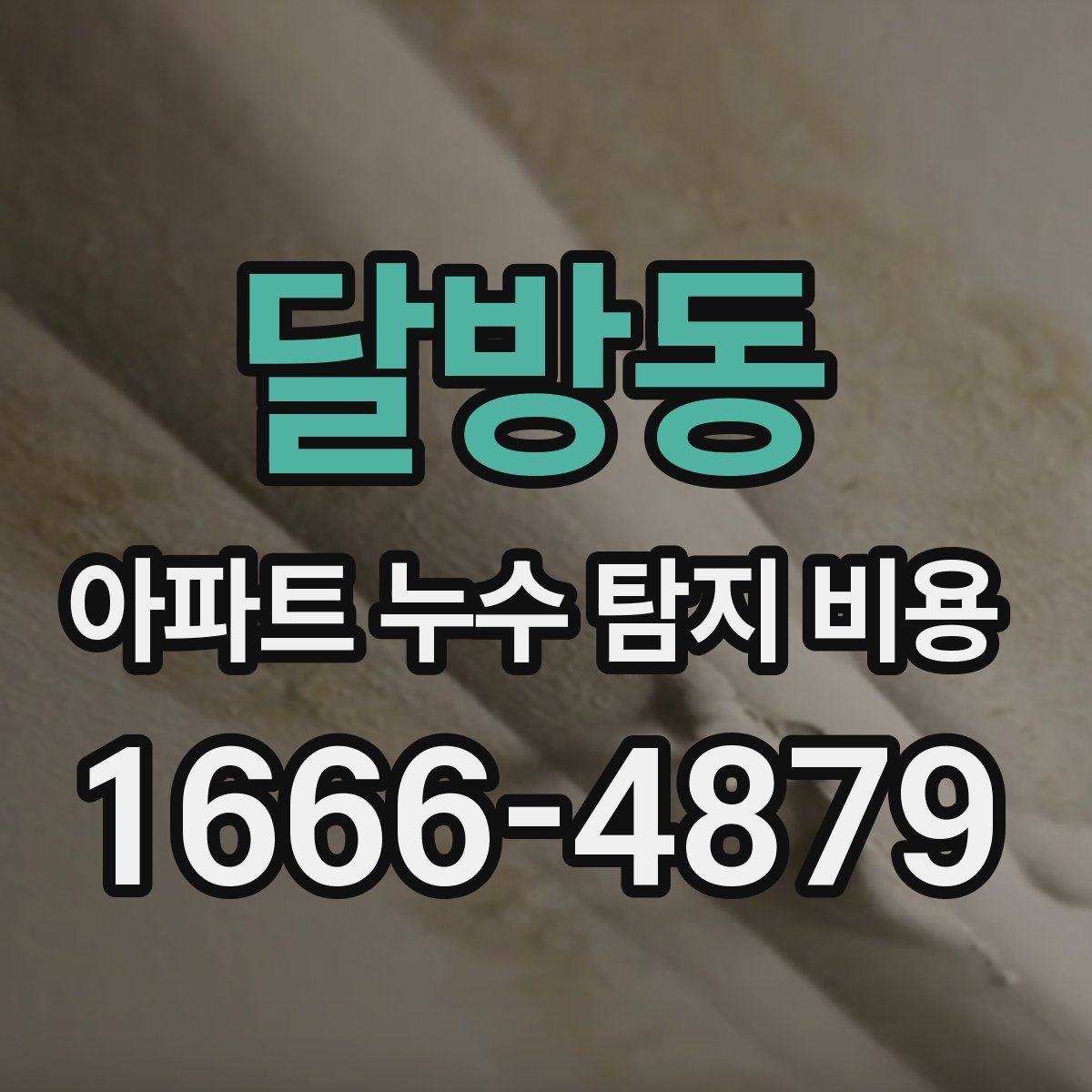 달방동 아파트 누수 탐지 비용