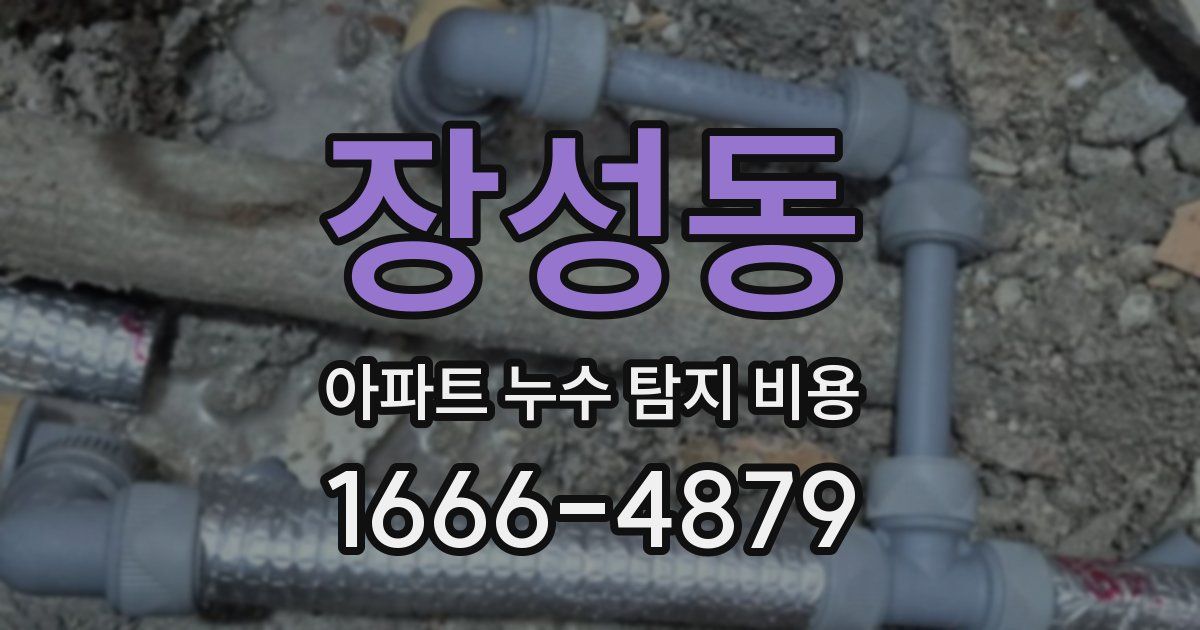 장성동 아파트 누수 탐지 비용