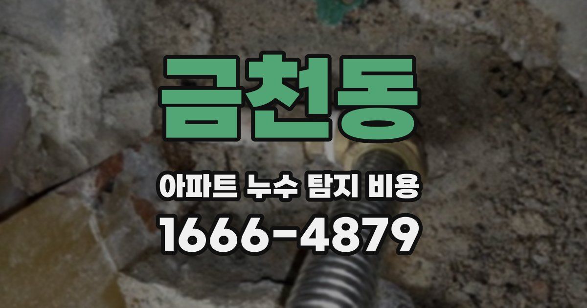 금천동 아파트 누수 탐지 비용