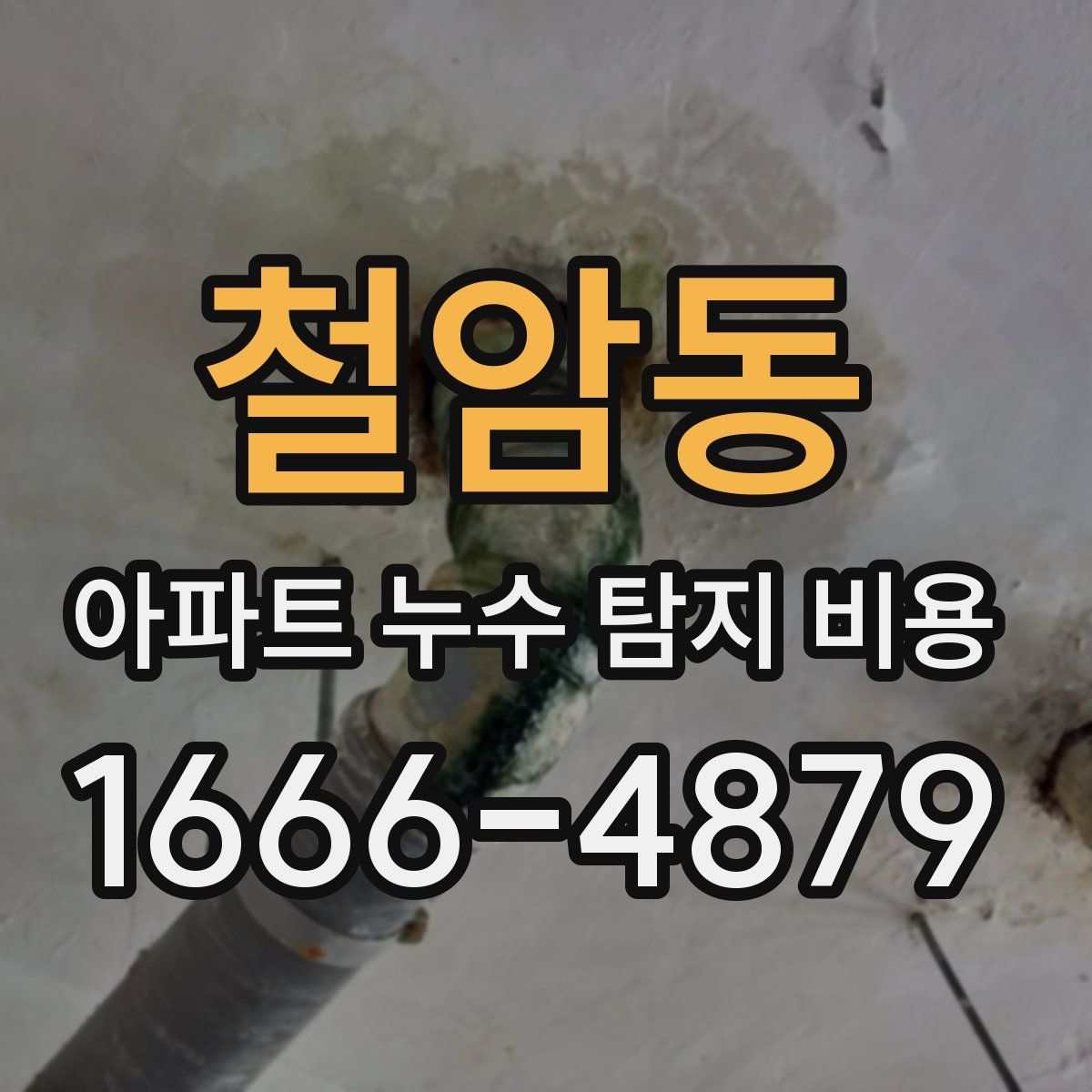 철암동 아파트 누수 탐지 비용