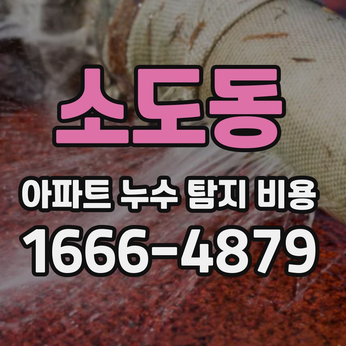 소도동 아파트 누수 탐지 비용
