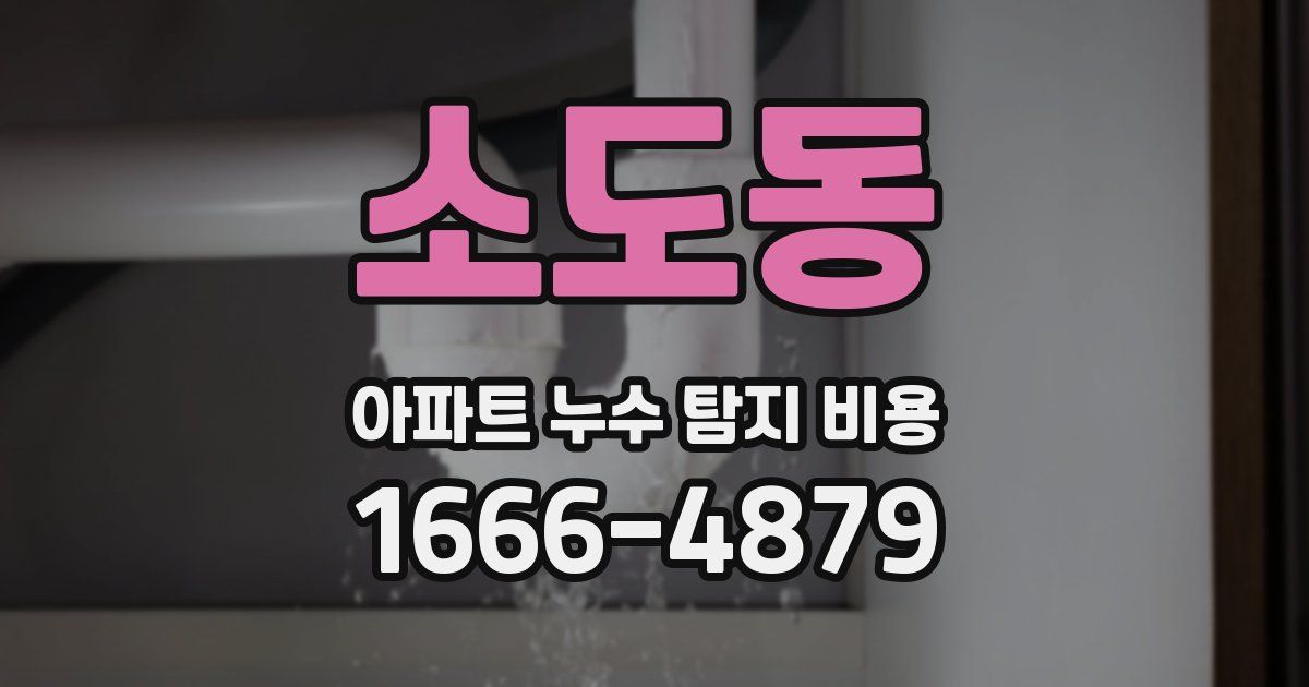 소도동 아파트 누수 탐지 비용