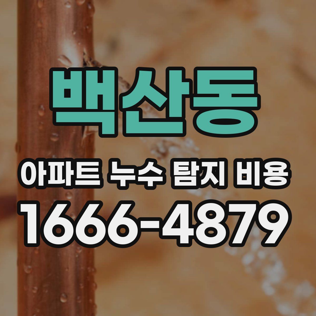 백산동 아파트 누수 탐지 비용