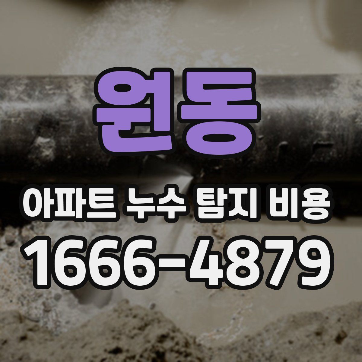 원동 아파트 누수 탐지 비용