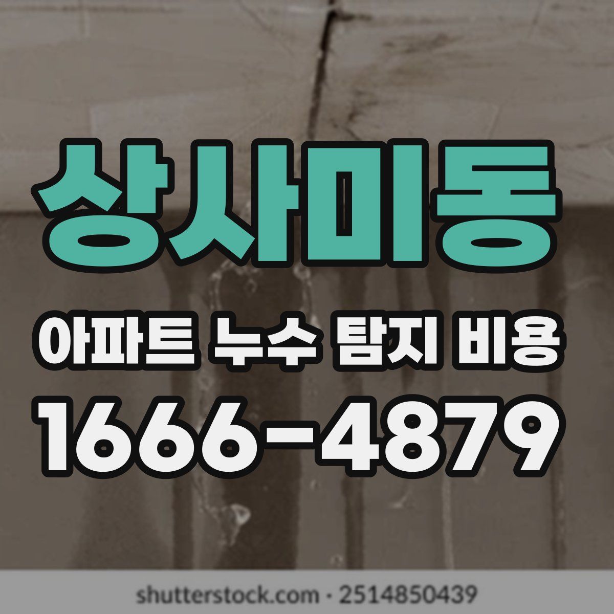 상사미동 아파트 누수 탐지 비용