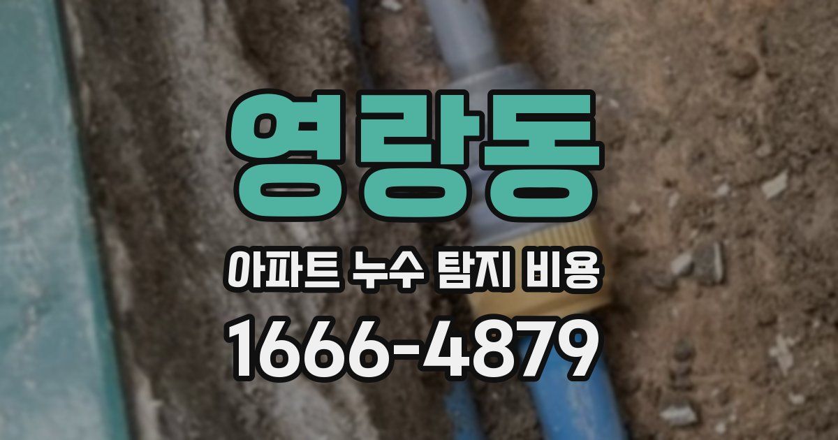 영랑동 아파트 누수 탐지 비용