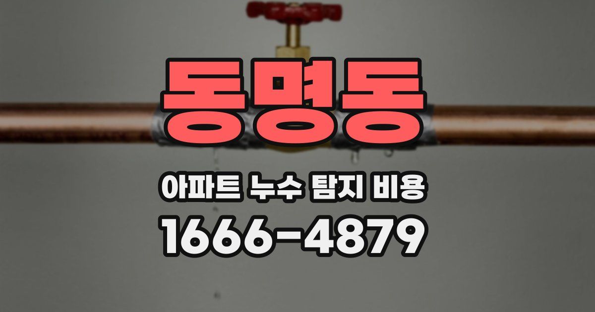 동명동 아파트 누수 탐지 비용