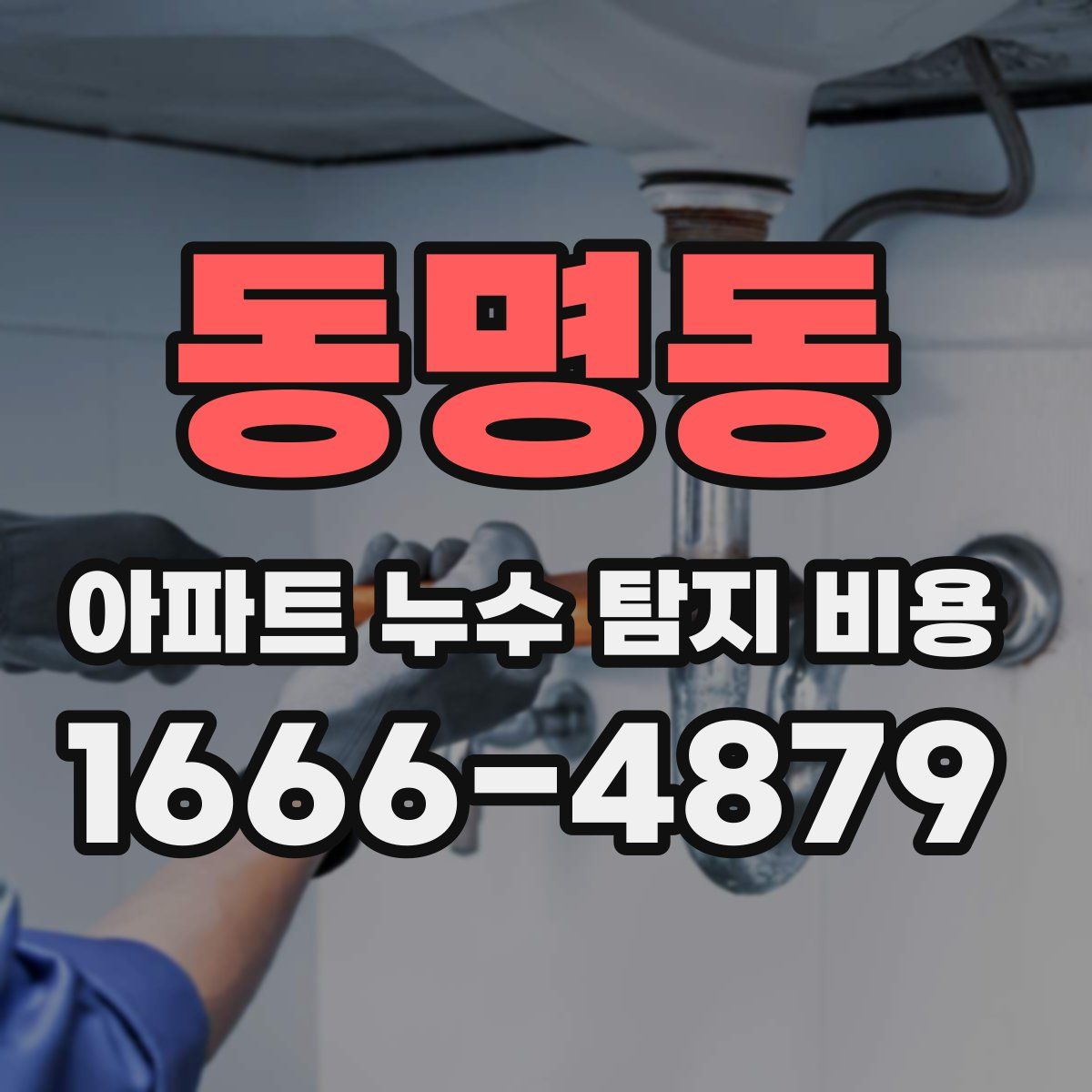 동명동 아파트 누수 탐지 비용
