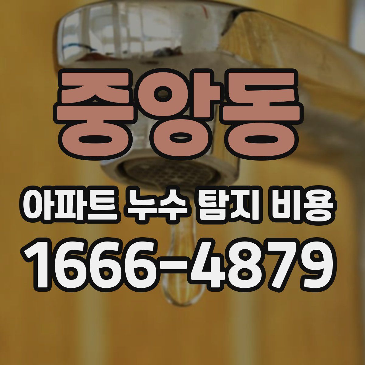 중앙동 아파트 누수 탐지 비용