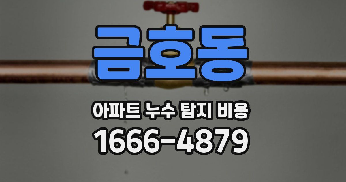 금호동 아파트 누수 탐지 비용
