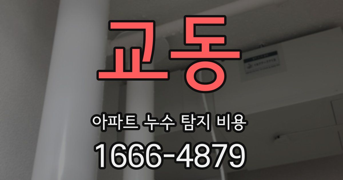 교동 아파트 누수 탐지 비용