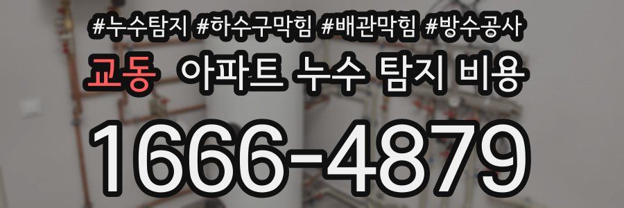 교동 아파트 누수 탐지 비용