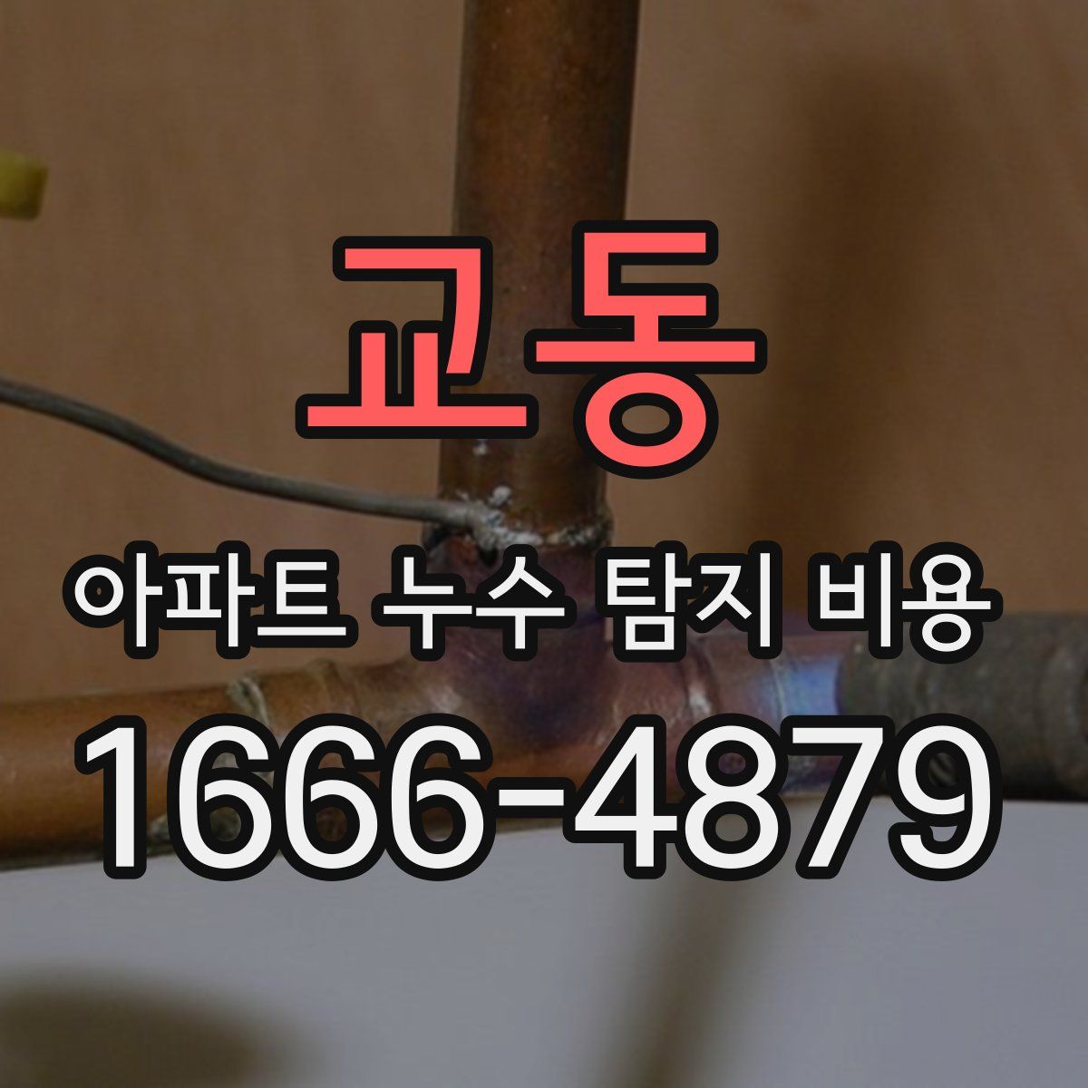 교동 아파트 누수 탐지 비용