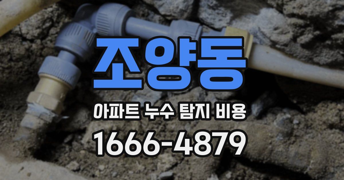 조양동 아파트 누수 탐지 비용