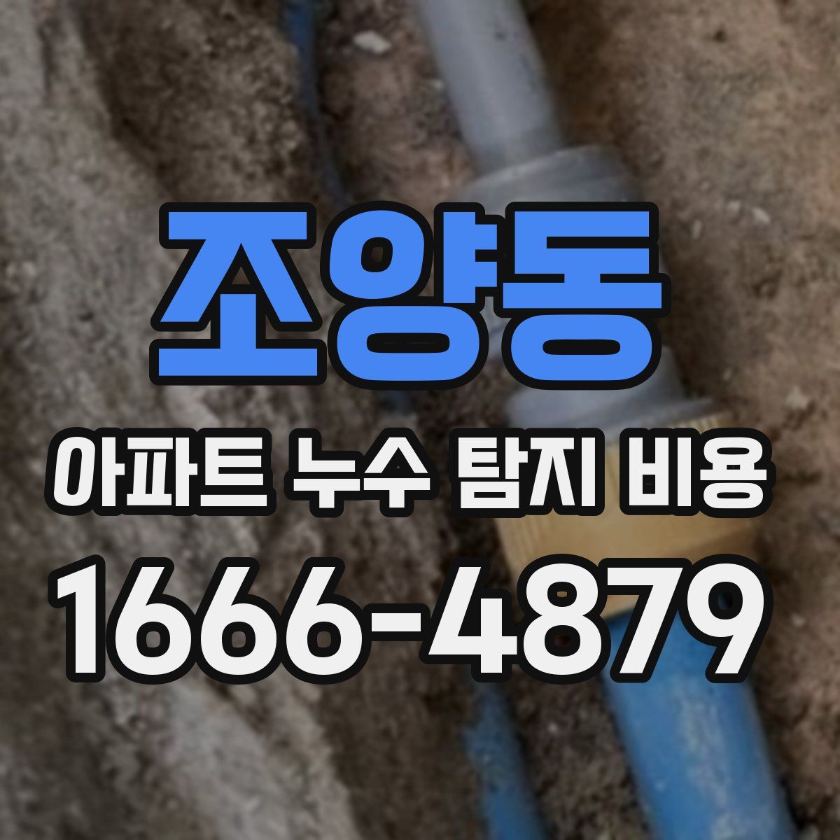 조양동 아파트 누수 탐지 비용