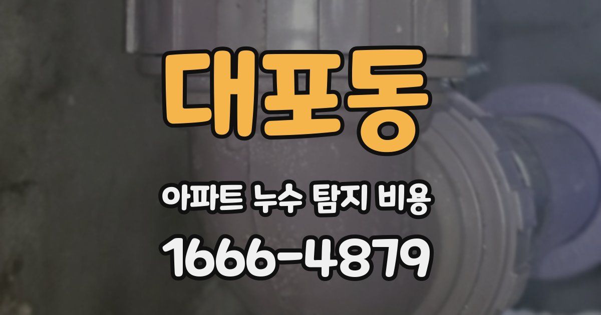 대포동 아파트 누수 탐지 비용