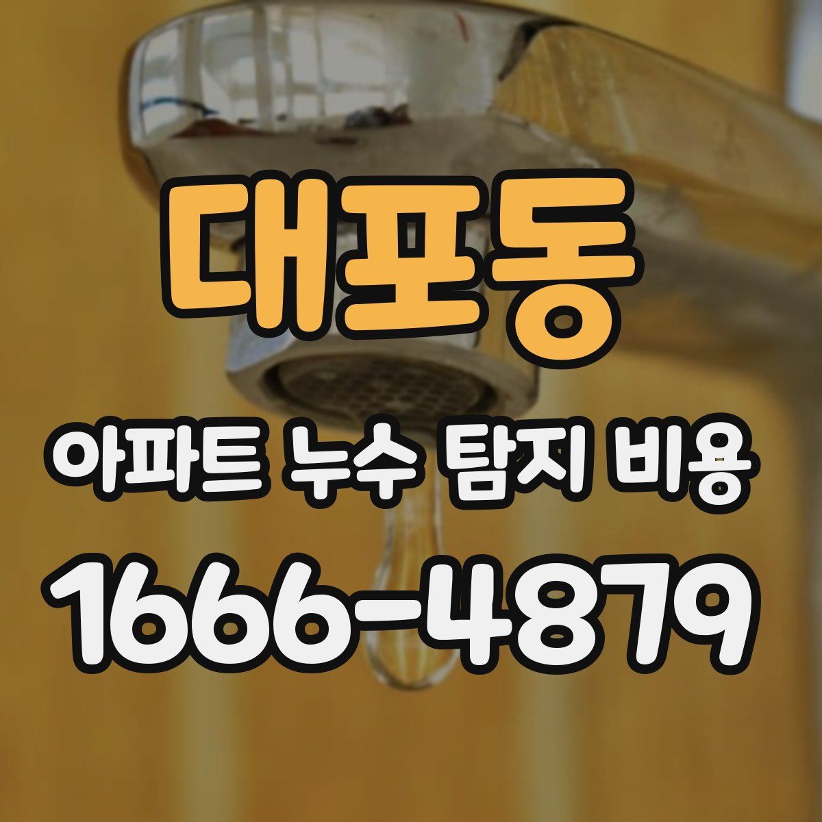 대포동 아파트 누수 탐지 비용