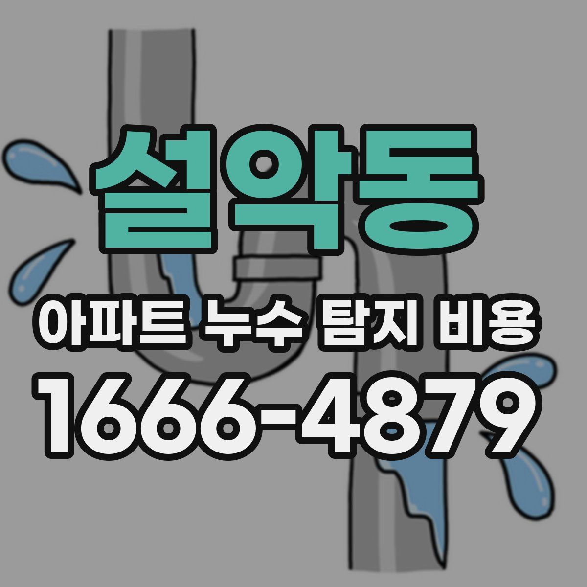 설악동 아파트 누수 탐지 비용