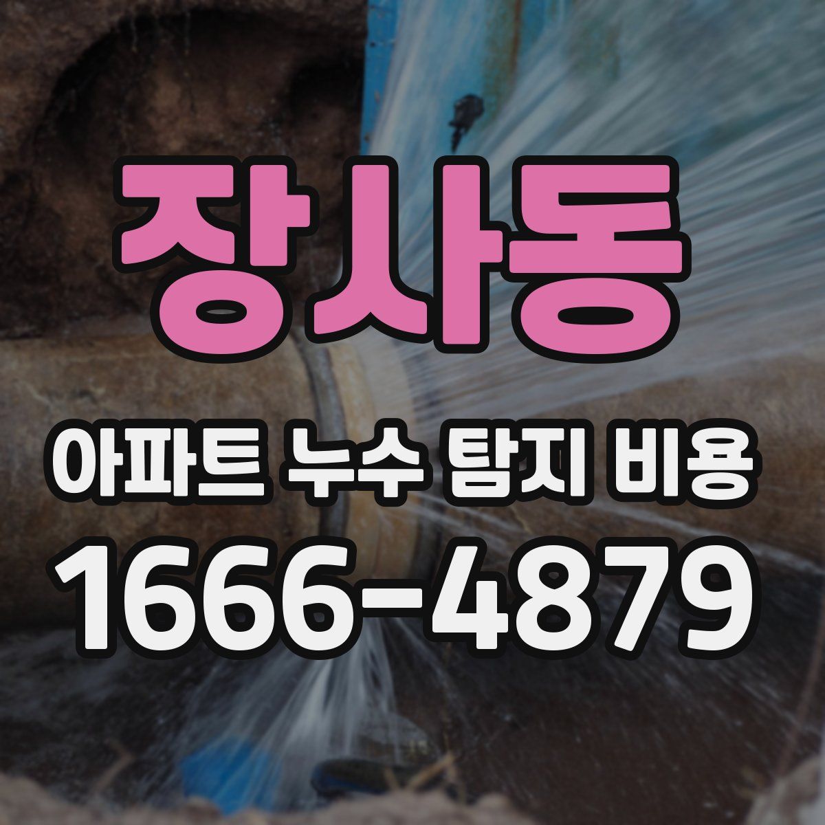 장사동 아파트 누수 탐지 비용