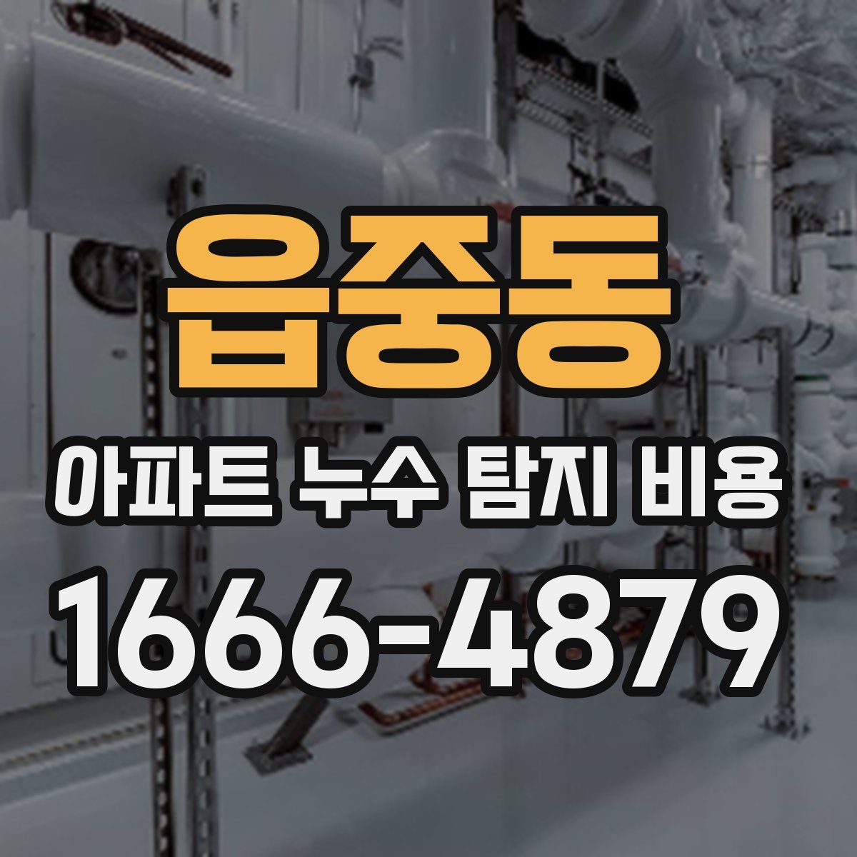 읍중동 아파트 누수 탐지 비용