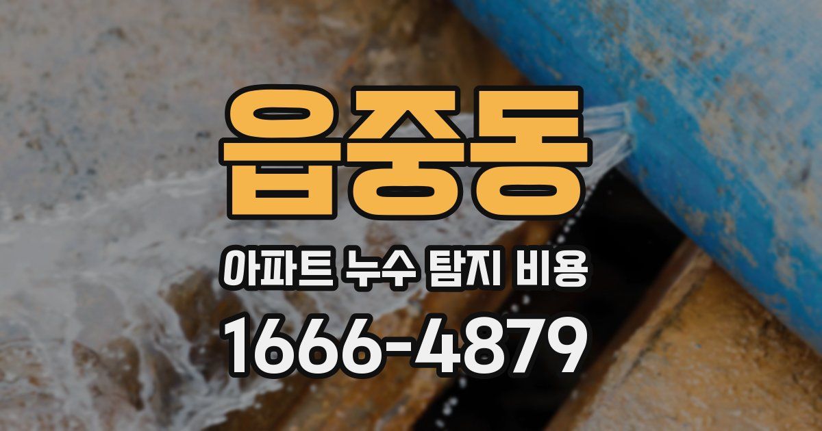 읍중동 아파트 누수 탐지 비용