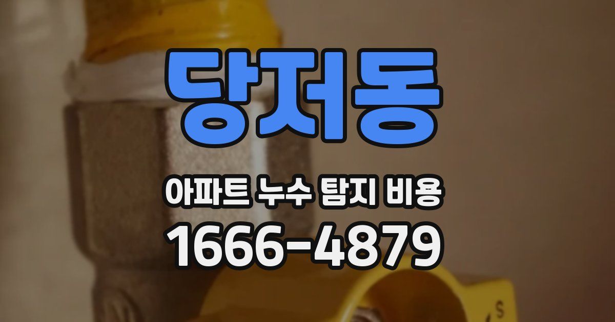 당저동 아파트 누수 탐지 비용