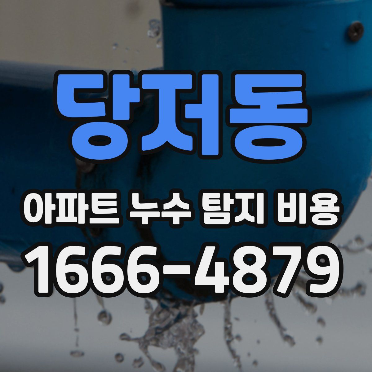 당저동 아파트 누수 탐지 비용