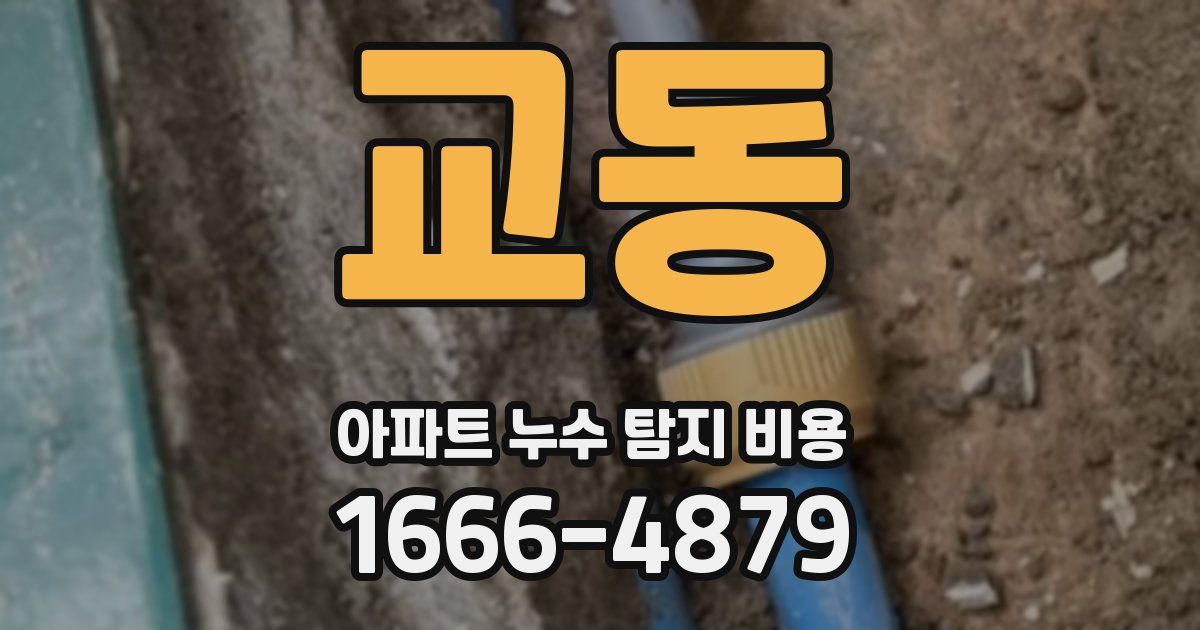 교동 아파트 누수 탐지 비용