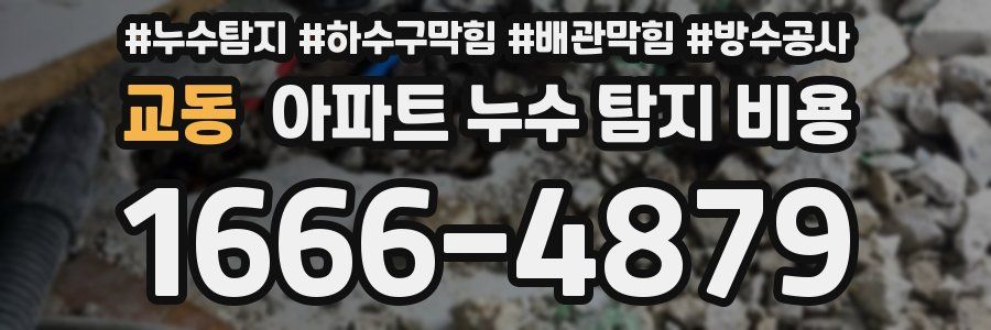 교동 아파트 누수 탐지 비용