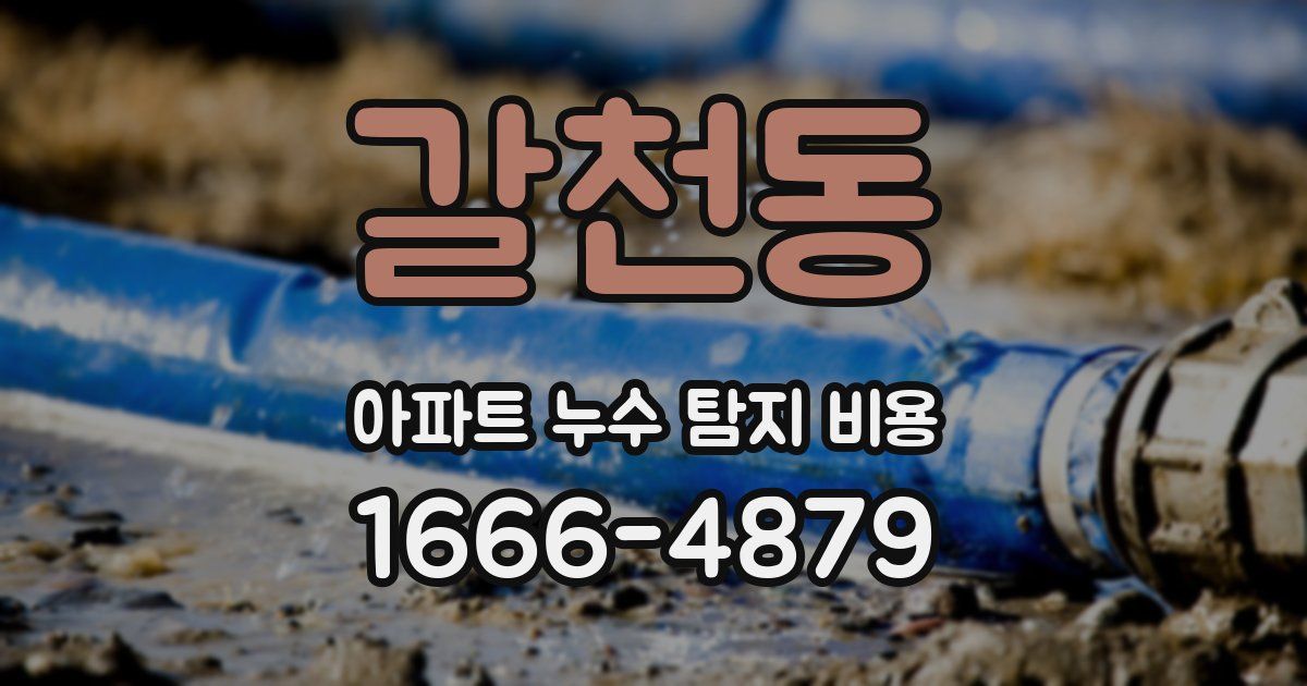 갈천동 아파트 누수 탐지 비용