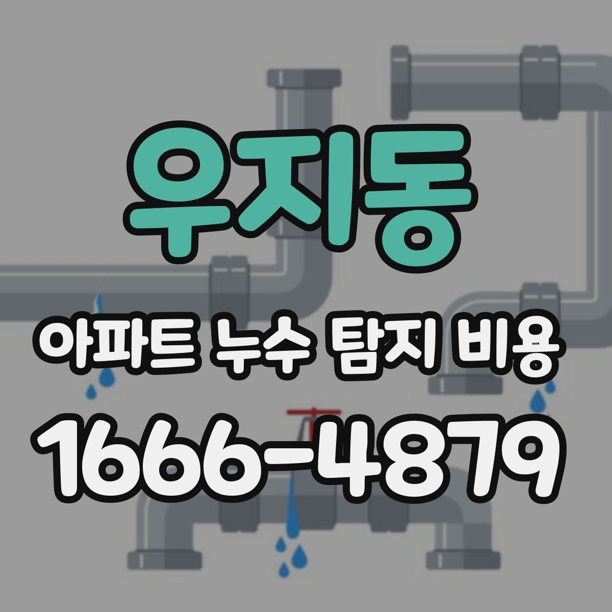 우지동 아파트 누수 탐지 비용