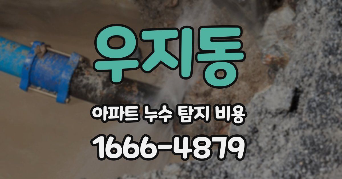 우지동 아파트 누수 탐지 비용