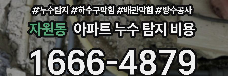 자원동 아파트 누수 탐지 비용