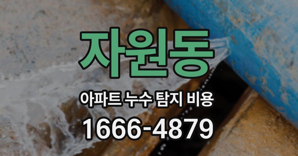 자원동 아파트 누수 탐지 비용