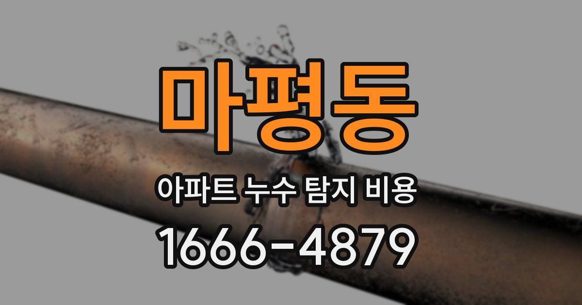 마평동 아파트 누수 탐지 비용