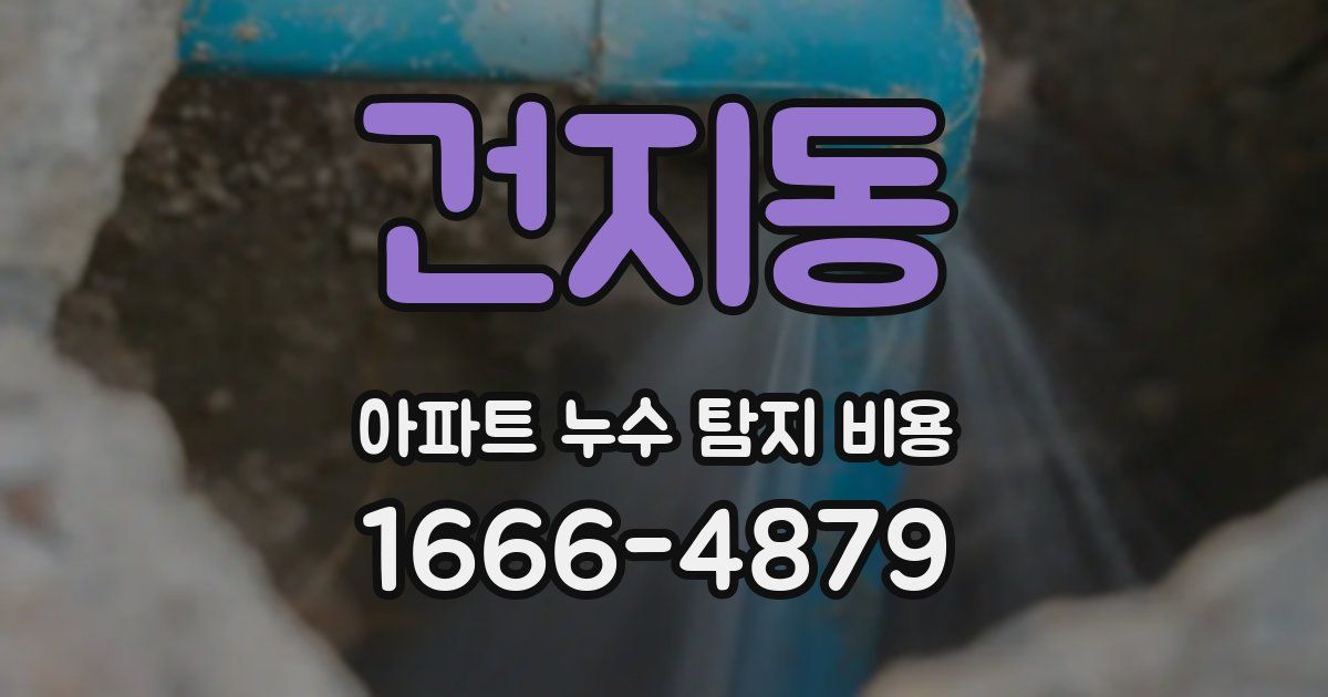 건지동 아파트 누수 탐지 비용