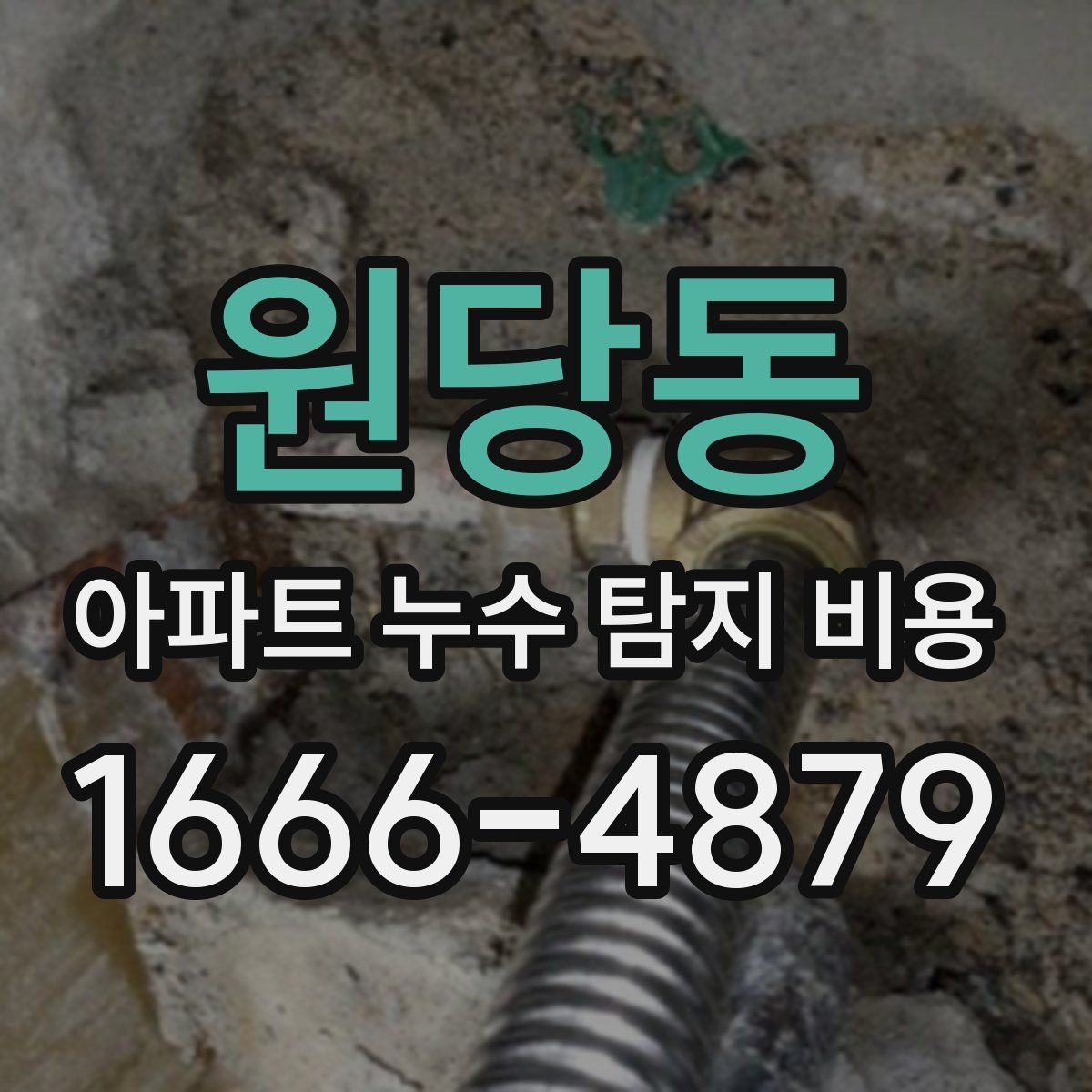 원당동 아파트 누수 탐지 비용