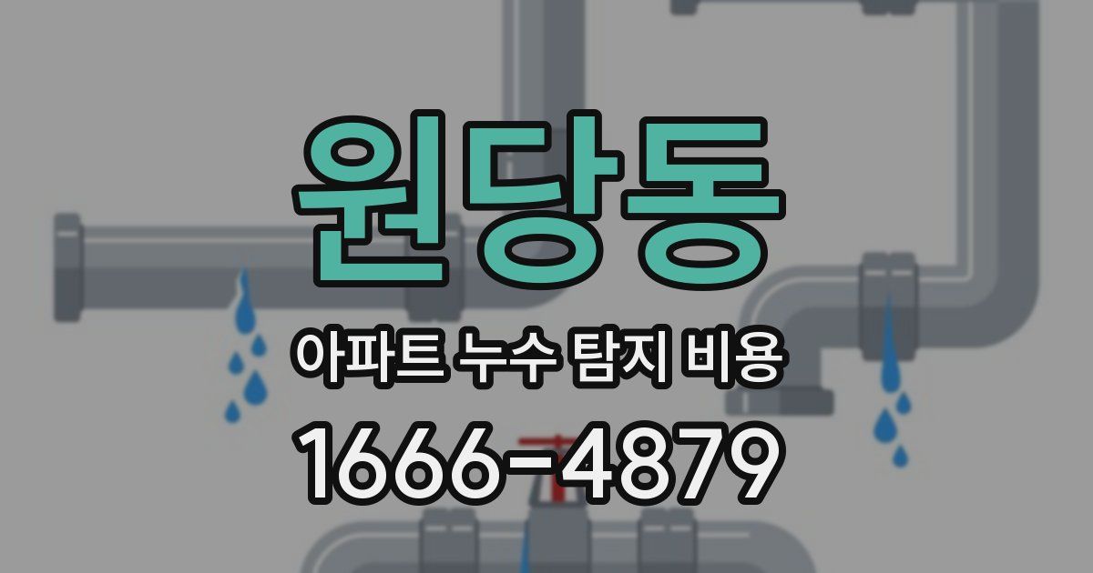 원당동 아파트 누수 탐지 비용