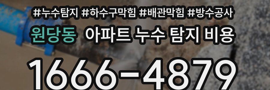 원당동 아파트 누수 탐지 비용
