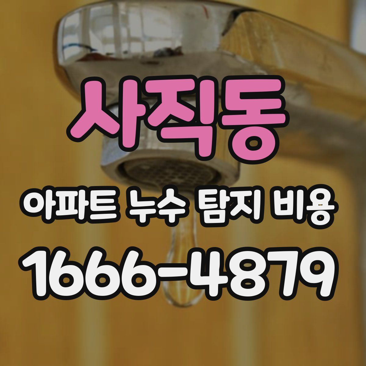 사직동 아파트 누수 탐지 비용