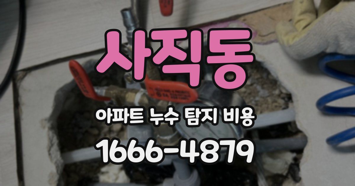 사직동 아파트 누수 탐지 비용