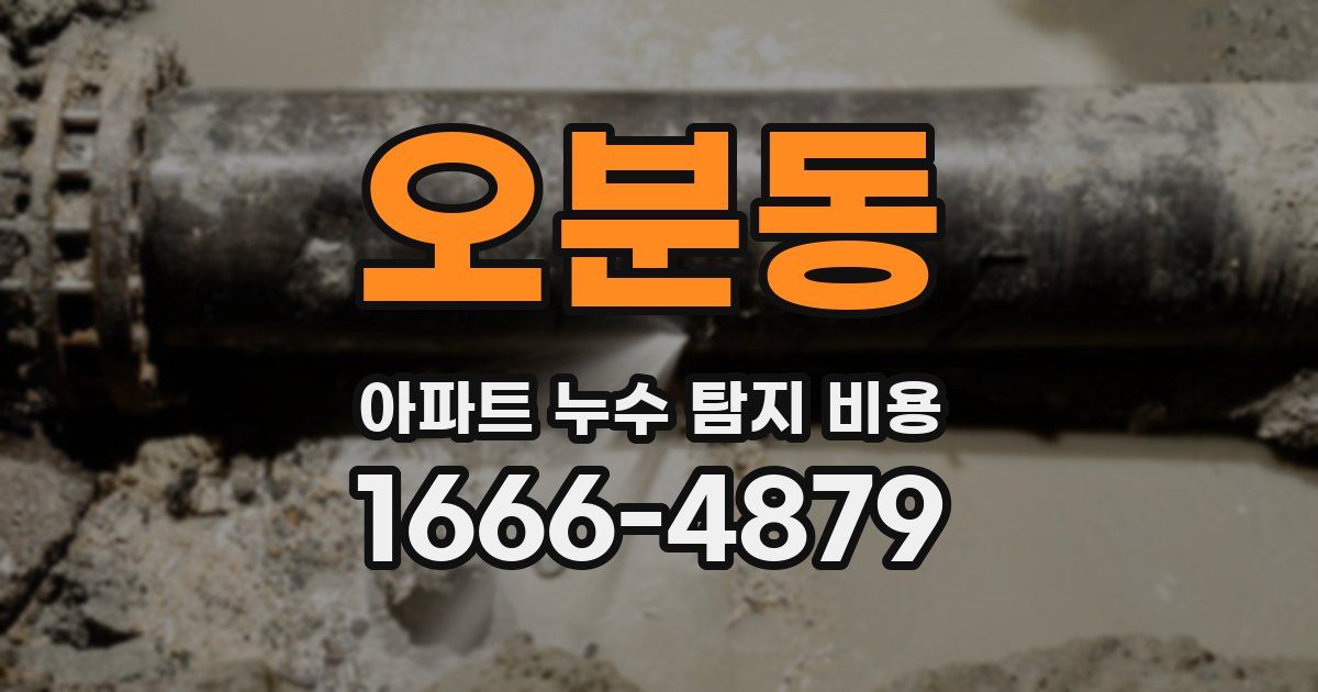 오분동 아파트 누수 탐지 비용