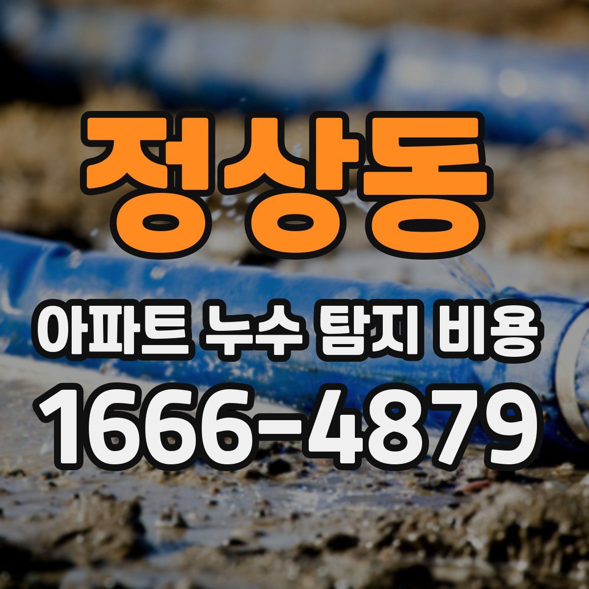 정상동 아파트 누수 탐지 비용
