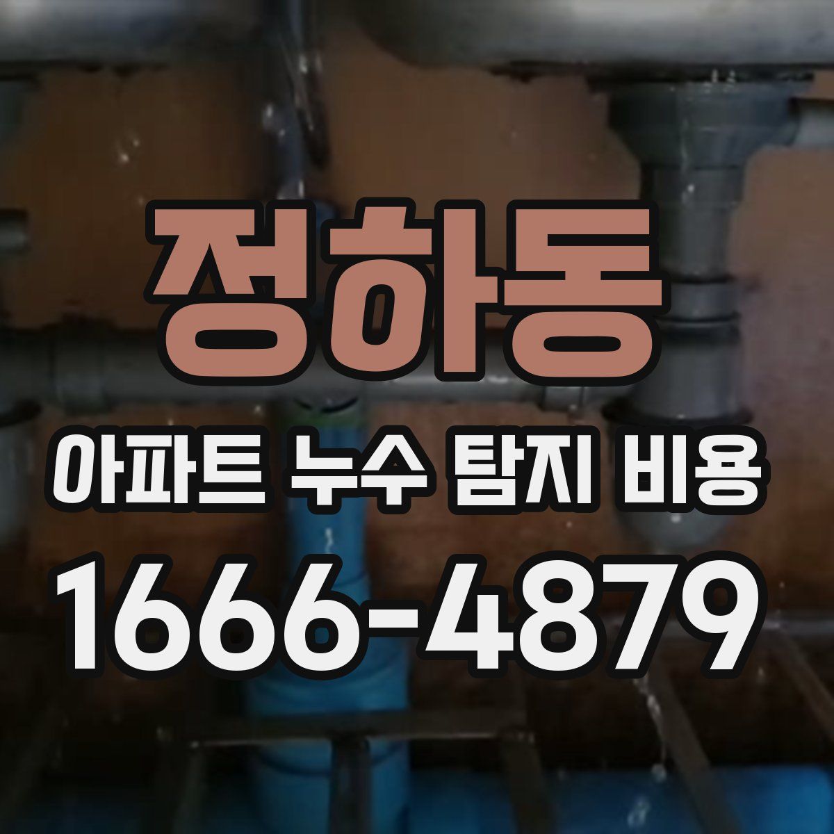 정하동 아파트 누수 탐지 비용