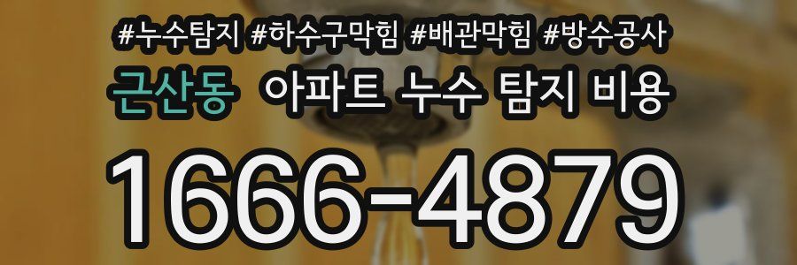 근산동 아파트 누수 탐지 비용