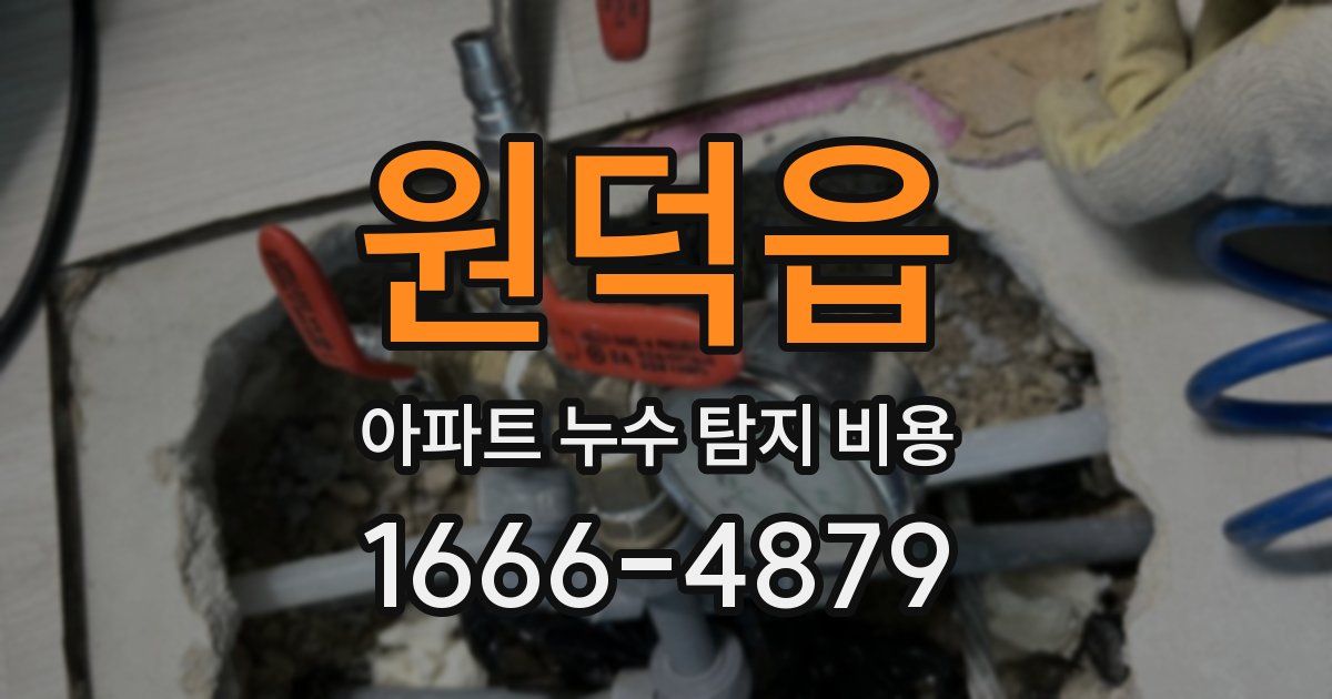원덕읍 아파트 누수 탐지 비용