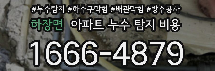 하장면 아파트 누수 탐지 비용