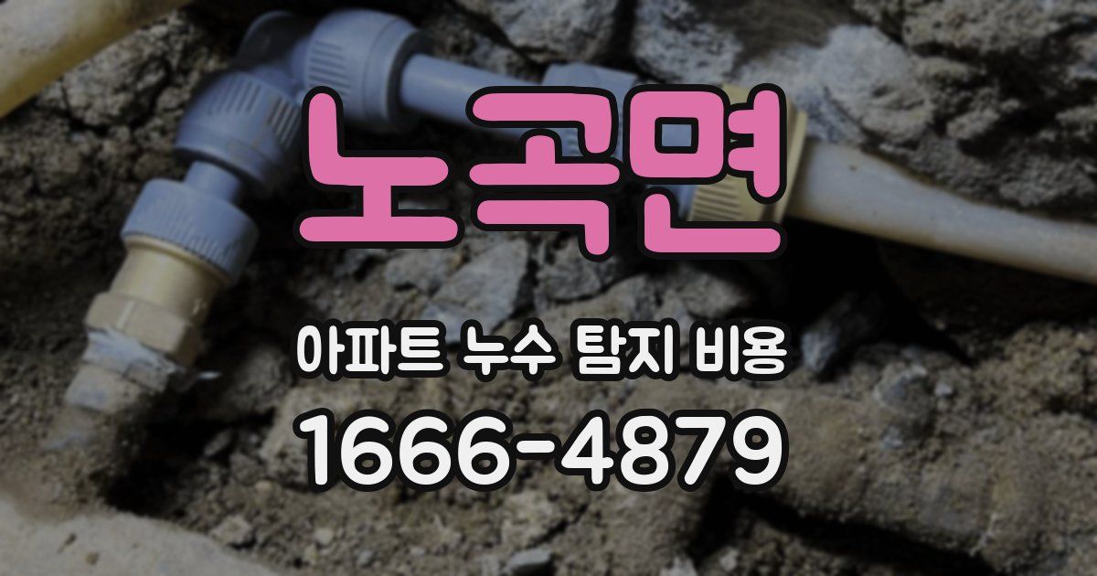 노곡면 아파트 누수 탐지 비용