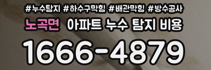 노곡면 아파트 누수 탐지 비용