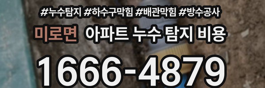 미로면 아파트 누수 탐지 비용